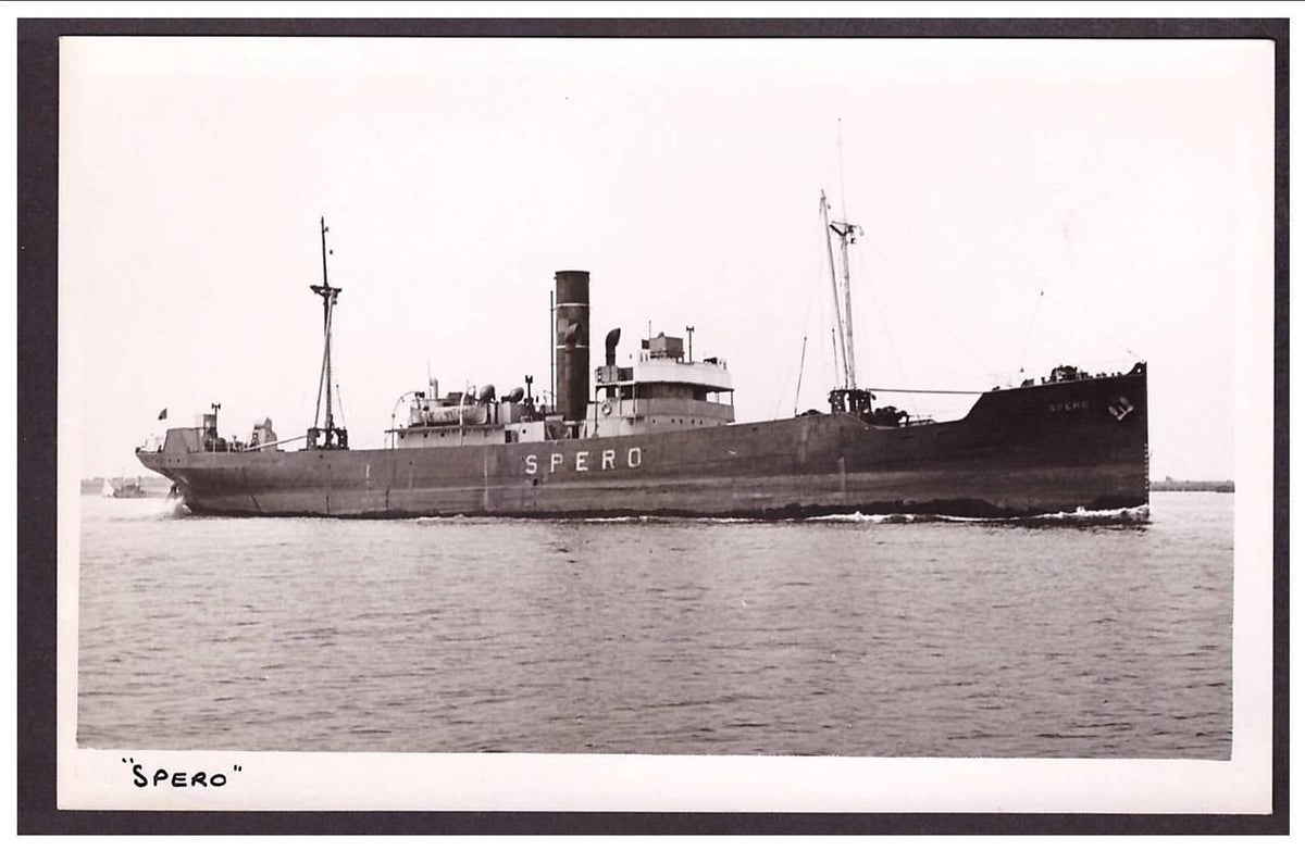 Spero 1899 Pelton Ss Co Newcastle Steam ship A4 Photo Print