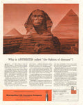Sphinx Arthritis Life 1950s Vintage Retro Advert Poster