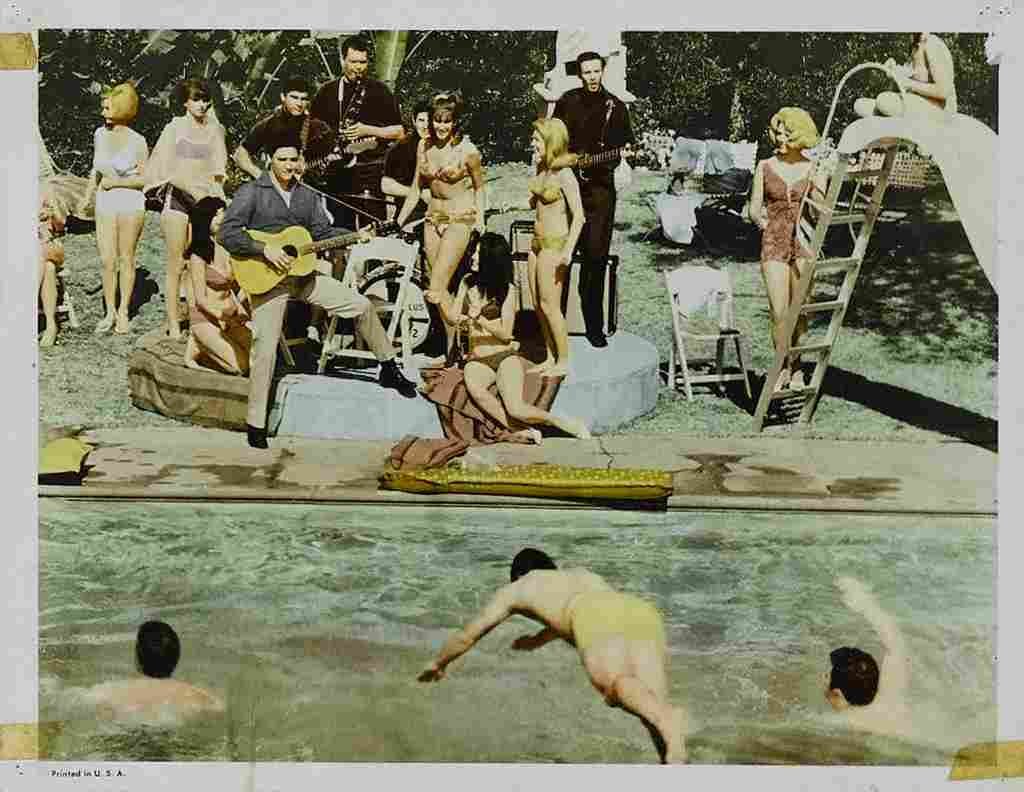Spinout 18  film star poster A4 Photo Print