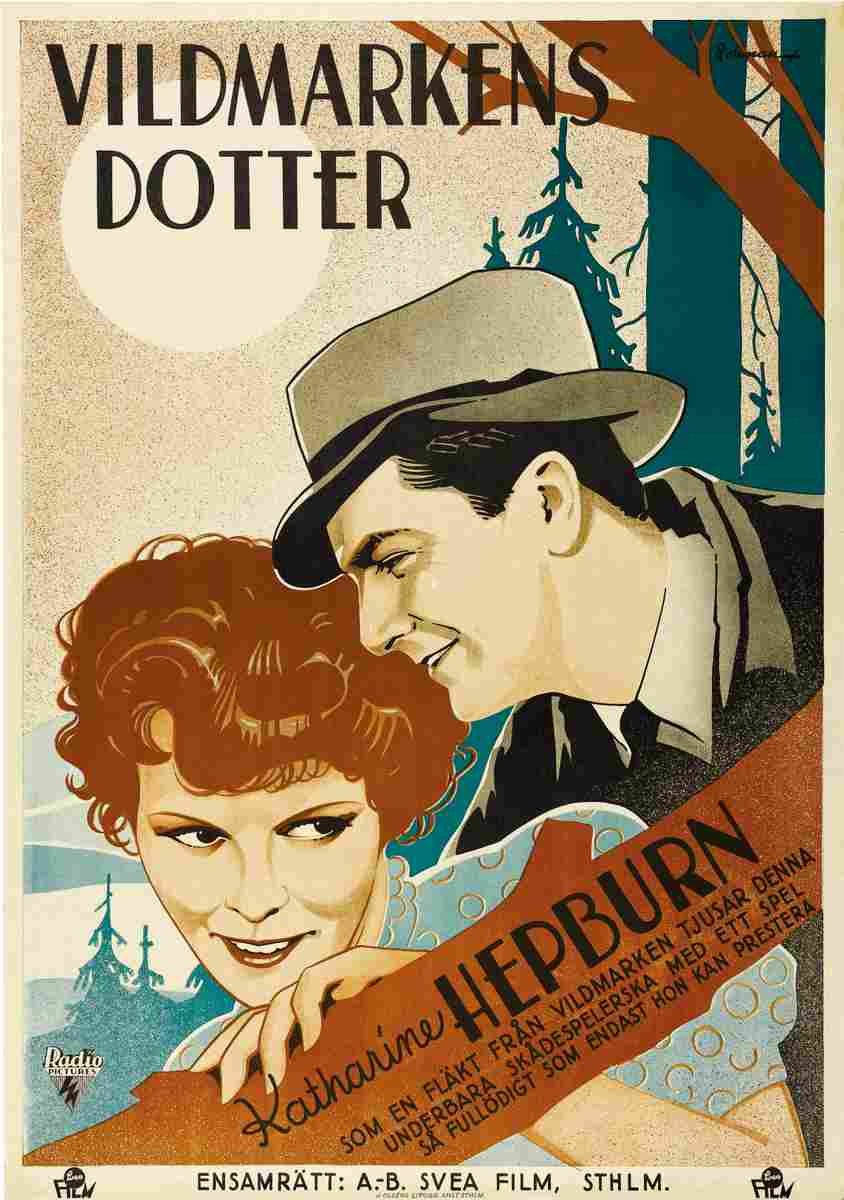Spitfire 1934 01  film star poster A4 Photo Print