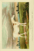 Sporting Repository 1904 1 A4 Photo Print