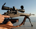 Springfield M14 2 A4 Photo Print