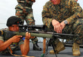 Springfield M14 3 A4 Photo Print