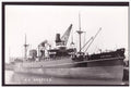 Ss Arctees Isherwood 1934 Steam ship A4 Photo Print