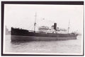 Ss Castalia Anchor Line Built 1906 Steam ship A4 Photo Print