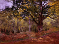 St Arti001 Bodmer Oak By Monet Art A4 Photo Print