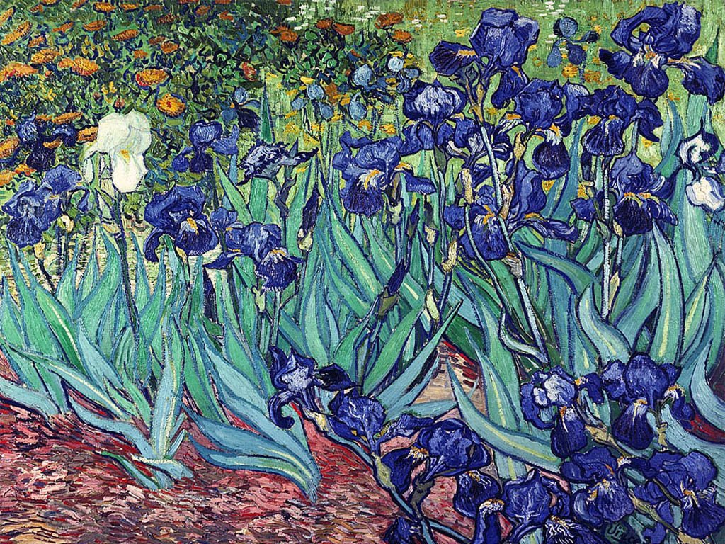 St Arti001 Irises By Van Gogh Art A4 Photo Print