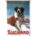 St Bernard Dog Suchard Chocolate Advertisement Pos Vintage Retro Advert Poster 