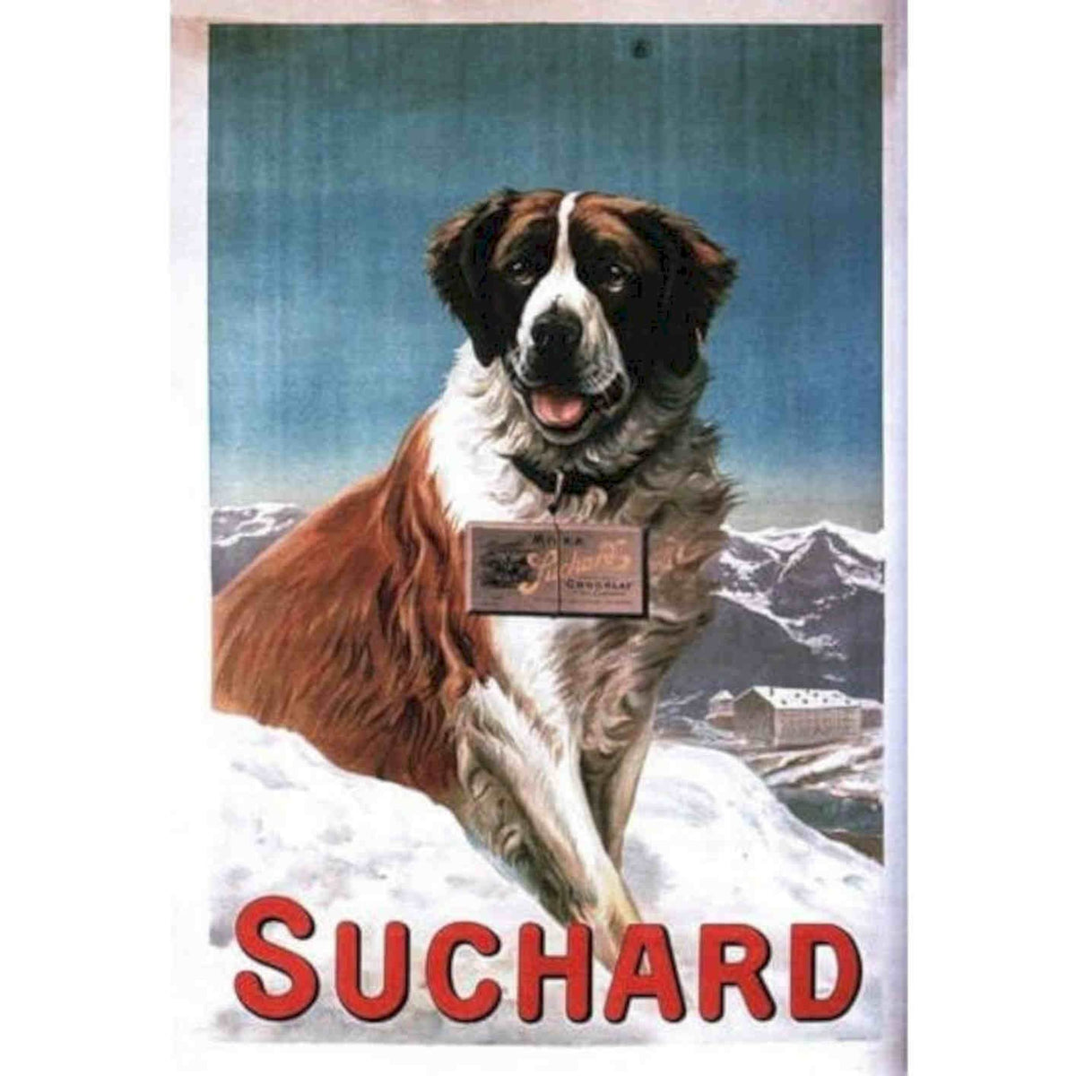 St Bernard Dog Suchard Chocolate Advertisement Pos Vintage Retro Advert Poster 