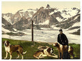 St Bernard dogs Valais Alps of Vintage A4 Photo Print