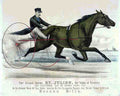 St Julien 4 Horse 001 Vintage A4 Photo Print