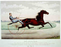 St Julien Horse 001 Vintage A4 Photo Print