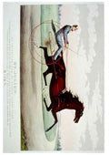 St Julien Horse A4 Photo Print