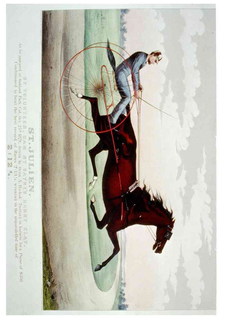 St Julien Horse A4 Photo Print