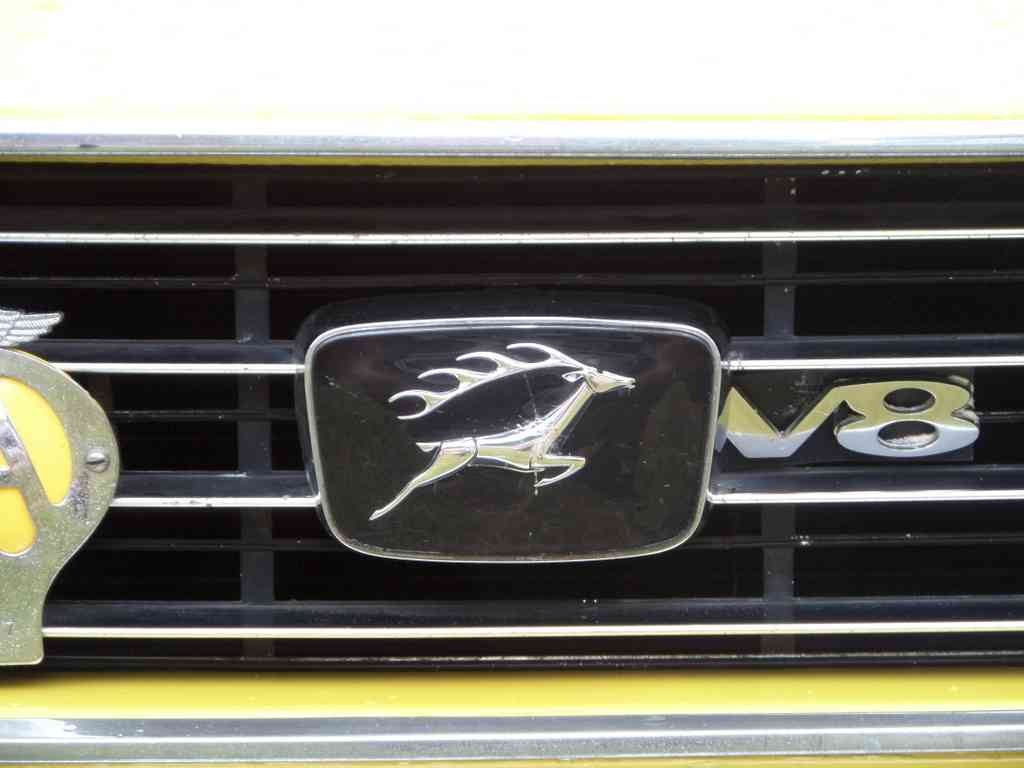 Stag Bonnet Grille Boot 2362 A4 Photo Print