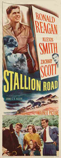 Stallion Road 03  film star poster A4 Photo Print