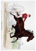 Stamboul Horse A4 Photo Print