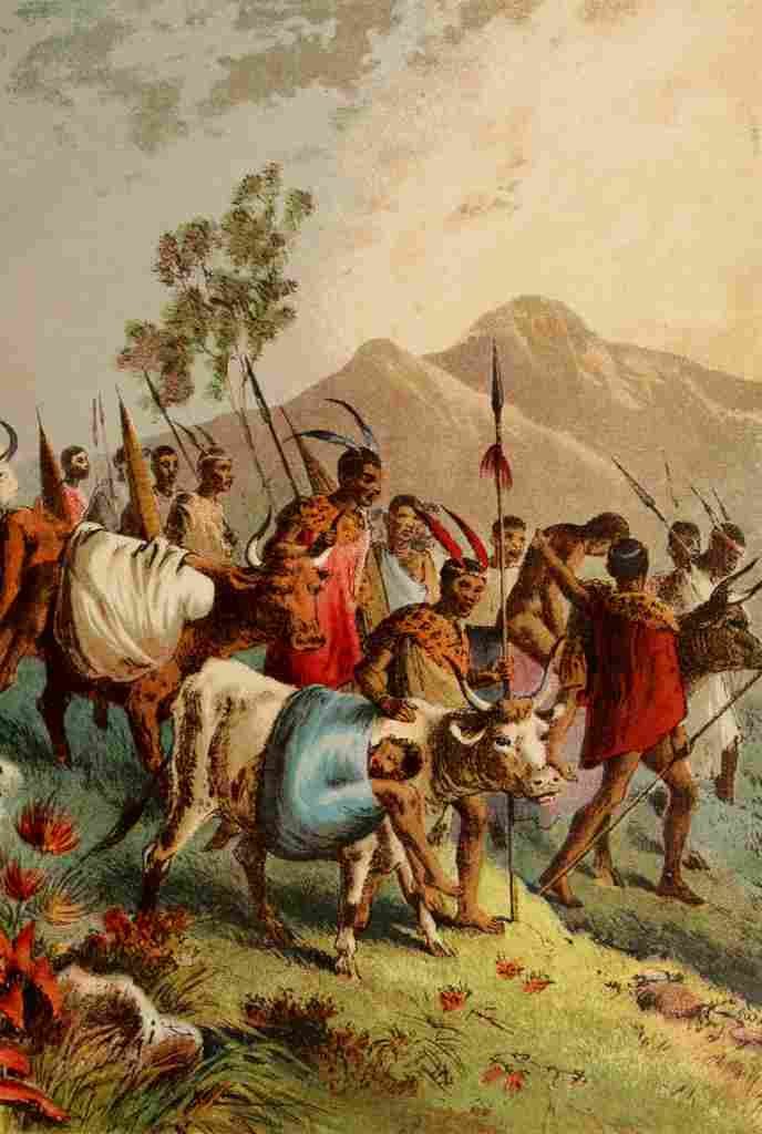 Stanley & Africa c1875 Kaffir carrying their wounded from war A4 Photo Print