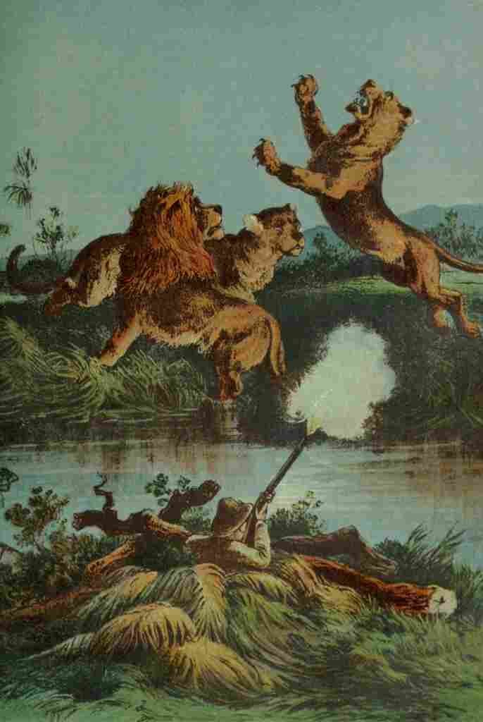 Stanley & Africa c1875 Lion hunting at night A4 Photo Print