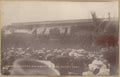 Steam Train Station Ewi14264 Vintage A4 Photo Print