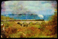 Steam Trains 182039 No. 7827 Lydham Manor Skirts The Coast In Torbay A4 Limited Edition Watercolour Print