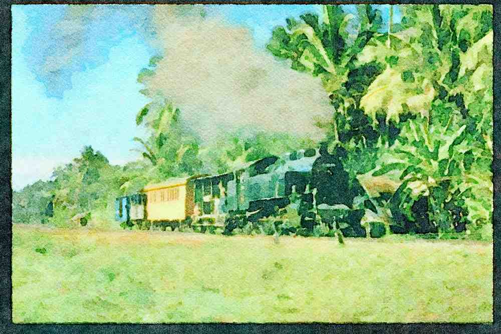 Steam Trains 182063 C3093 Ambles Through The Palms With A Mixed Train For Pasabaru A4 Limited Edition Watercolour Print
