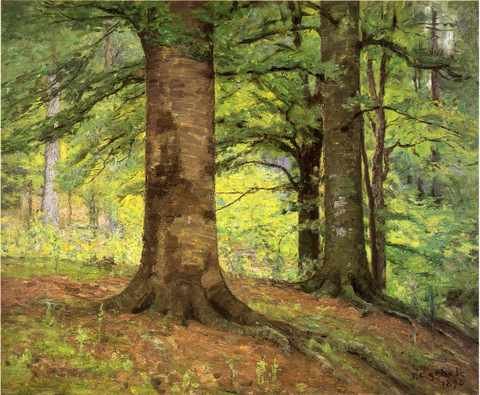 Steele Beech Trees A4 Photo Print