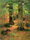 Steele Vernon Beeches A4 Photo Print