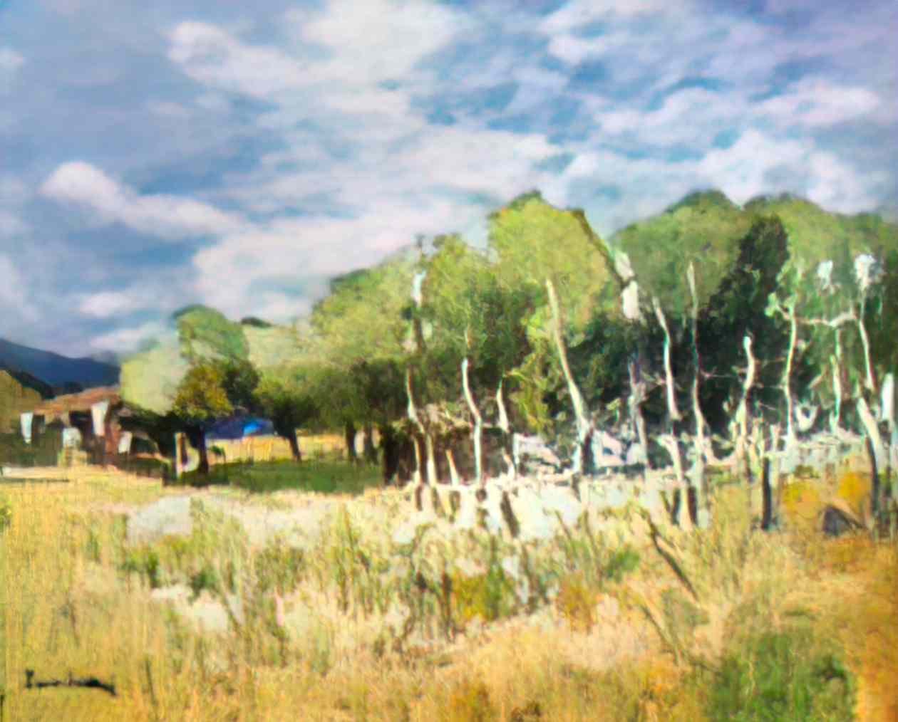 Stefan Luchian after rain Art A4 Photo Print