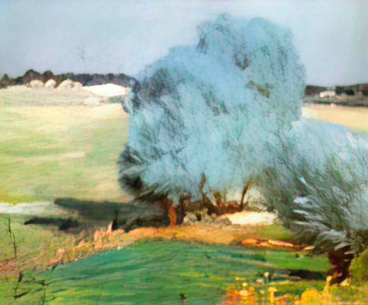 Stefan Luchian chiajna willows Art A4 Photo Print
