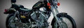 Stels 400 Cruiser 400 Cruiser 1 825x284 motorbike A4 Photo Print