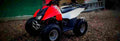 Stels ATV 100 C ATV 100 C 1 825x284 motorbike A4 Photo Print