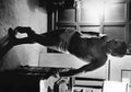 Steve McQueen Pants A4 Photo Print