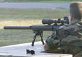 Stoner Rifle Sr25 3 A4 Photo Print