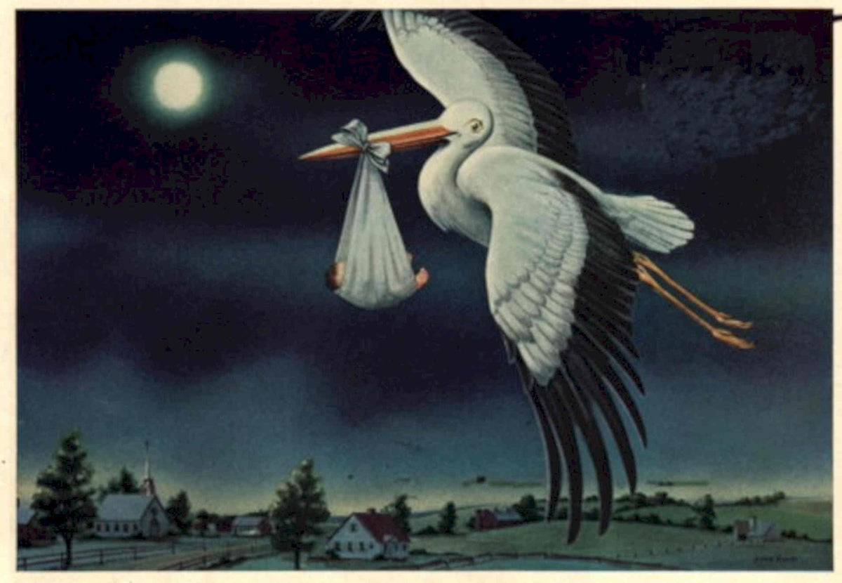 Stork Baby Dyar 1940s Vintage Retro Advert Poster