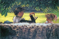 Story Read Tissot A4 Photo Print