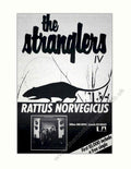 Stranglers Rattus Norvegicus Vintage Retro Advert Poster A4 Photo Print