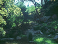 Stream Pool Rocks A4 Photo Print