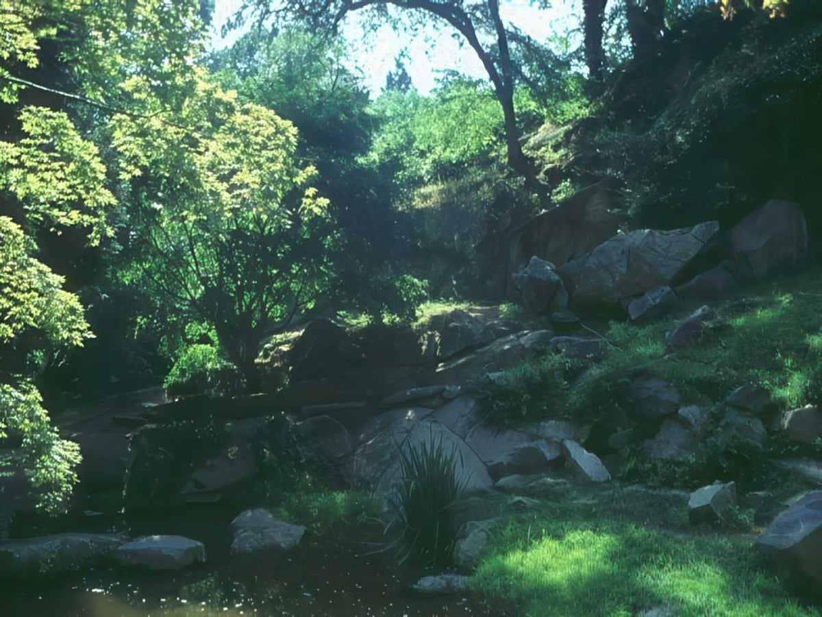 Stream Pool Rocks A4 Photo Print