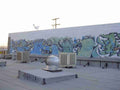Street Art 0013 4491 GRAFFITI A4 Photo Print