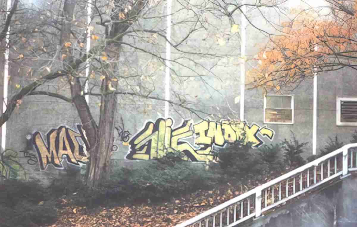 Street Art 0033 0003 GRAFFITI A4 Photo Print