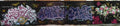 Street Art 0364 0338 GRAFFITI A4 Photo Print