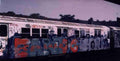 Street Art 0384 0359 GRAFFITI A4 Photo Print