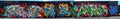 Street Art 0500 0475 GRAFFITI A4 Photo Print