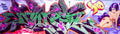 Street Art 0512 0487 GRAFFITI A4 Photo Print