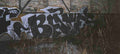 Street Art 0536 0511 GRAFFITI A4 Photo Print