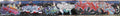 Street Art 0666 0641 GRAFFITI A4 Photo Print