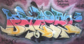 Street Art 0689 0664 GRAFFITI A4 Photo Print