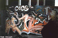 Street Art 1149 1124 GRAFFITI A4 Photo Print
