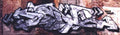 Street Art 1858 1836 GRAFFITI A4 Photo Print
